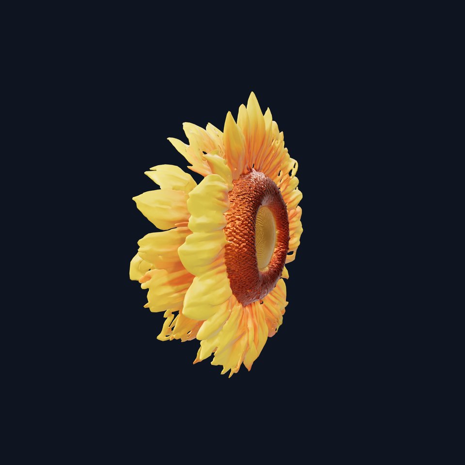 Sunflower Petal Detail Sculpture model pack